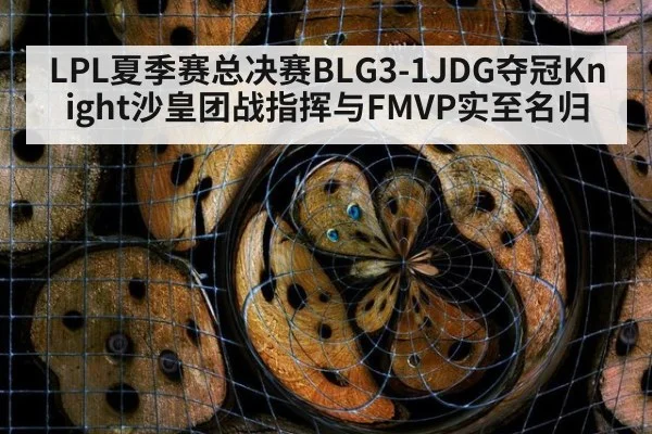 LPL夏季赛总决赛BLG3-1JDG夺冠Knight沙皇团战指挥与FMVP实至名归